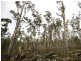 Prossers Road, Nunamara TAS 7259