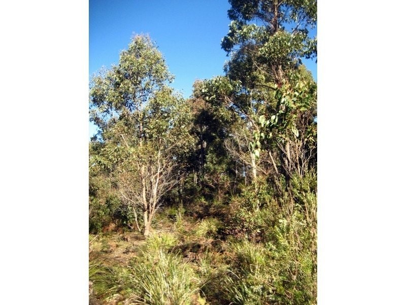 Prossers Road, Nunamara TAS 7259