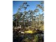 Prossers Road, Nunamara TAS 7259