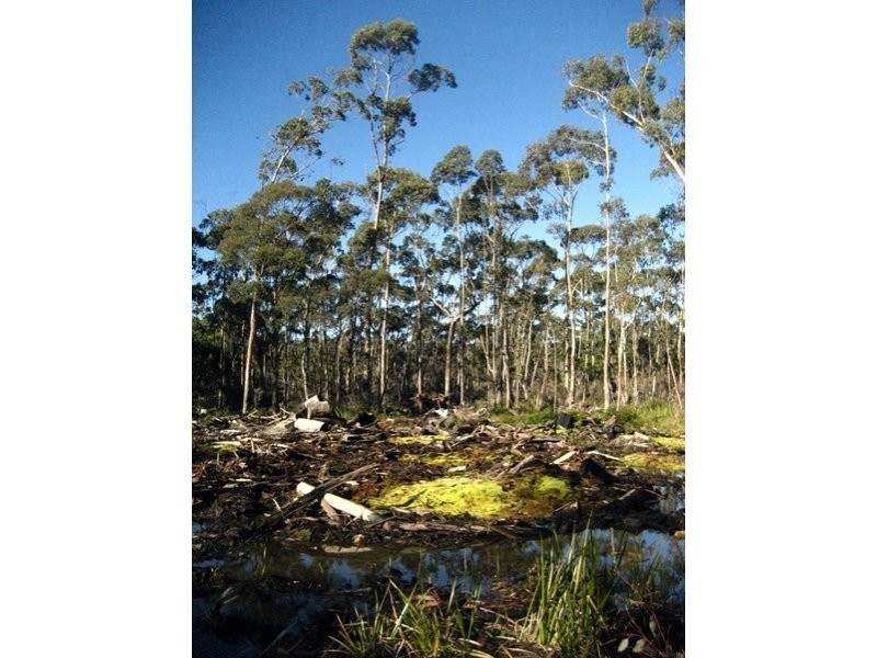 Prossers Road, Nunamara TAS 7259