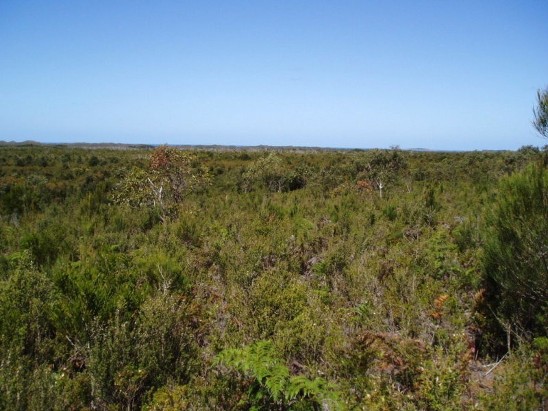 Lot 1, 2, Sea Elephant Reekara Road, Sea Elephant TAS 7256