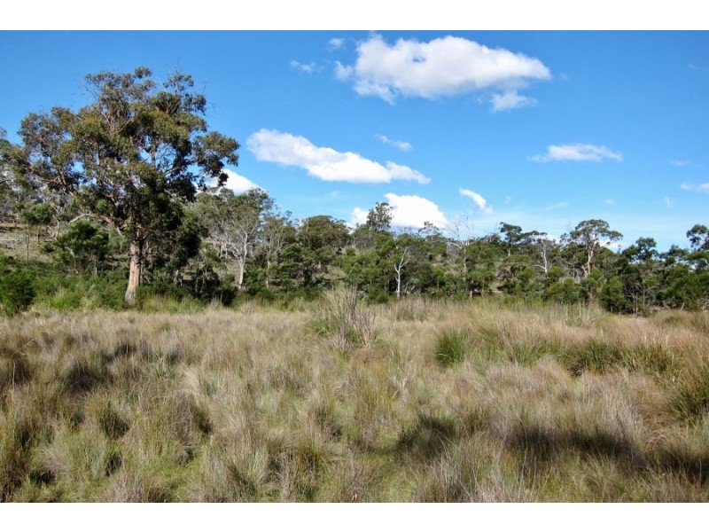 Bluemans Run, Swansea TAS 7190