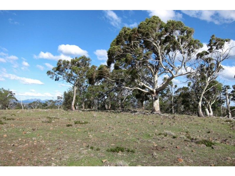 Bluemans Run, Swansea TAS 7190