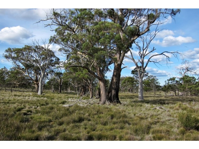 Bluemans Run, Swansea TAS 7190