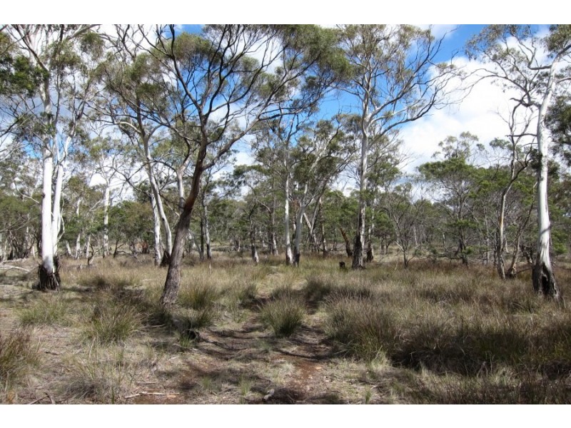 Bluemans Run, Swansea TAS 7190