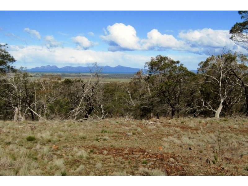 Bluemans Run, Swansea TAS 7190