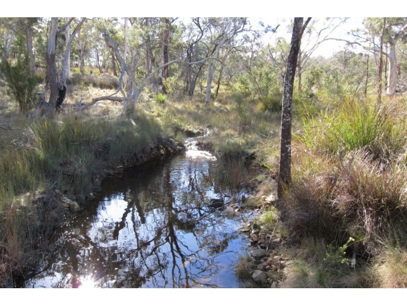 Bluemans Run, Swansea TAS 7190