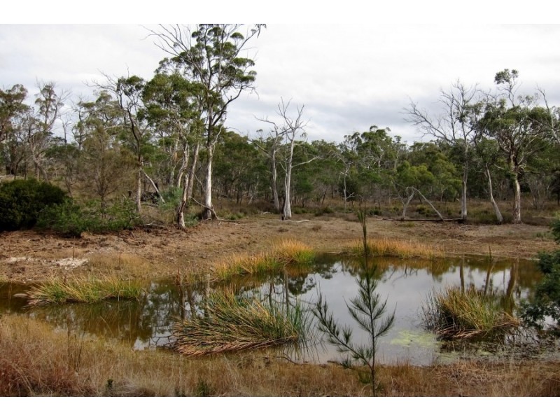 Bluemans Run, Swansea TAS 7190