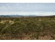 Bluemans Run, Swansea TAS 7190
