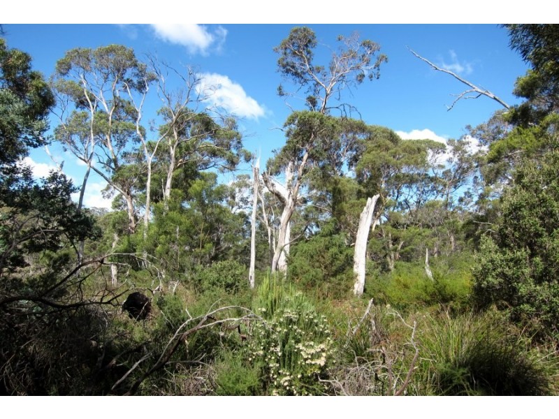 Bluemans Run, Swansea TAS 7190