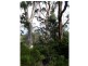 Roaring Beach Road, Nubeena TAS 7184