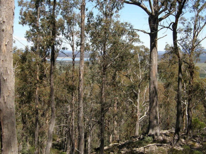 Victoria Valley Road, London Lakes TAS 7140