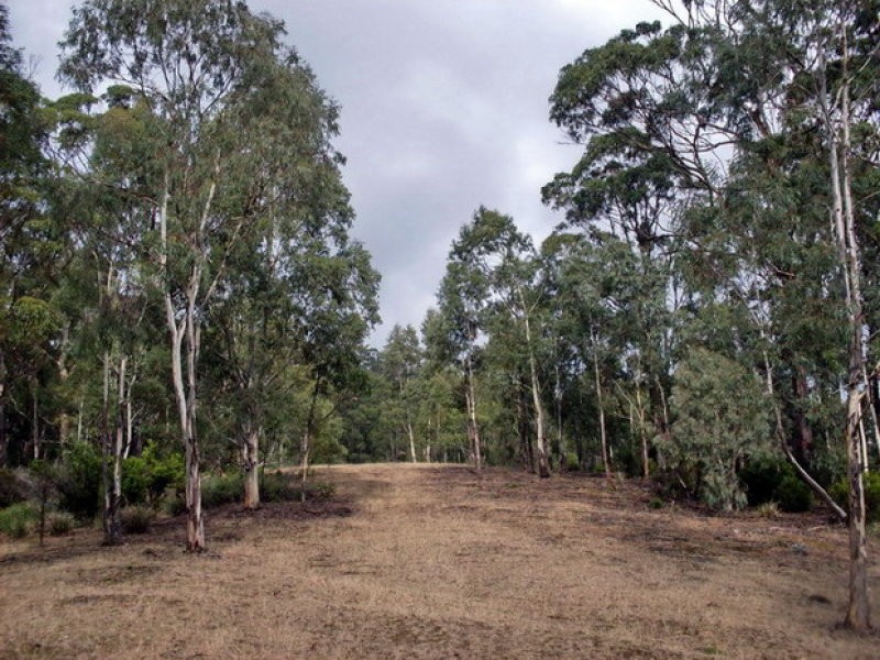 Roaring Beach Road, Nubeena TAS 7184