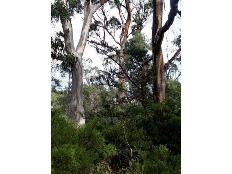 Roaring Beach Road, Nubeena TAS 7184