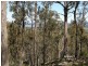 Victoria Valley Road, London Lakes TAS 7140