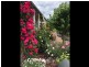 30 ROOPE STREET, New Town TAS 7008