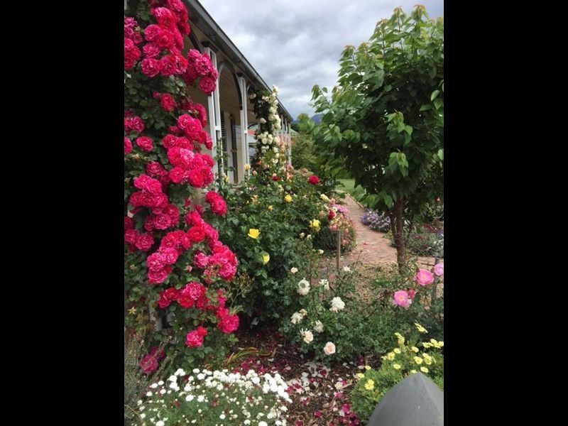 30 ROOPE STREET, New Town TAS 7008