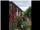 30 ROOPE STREET, New Town TAS 7008