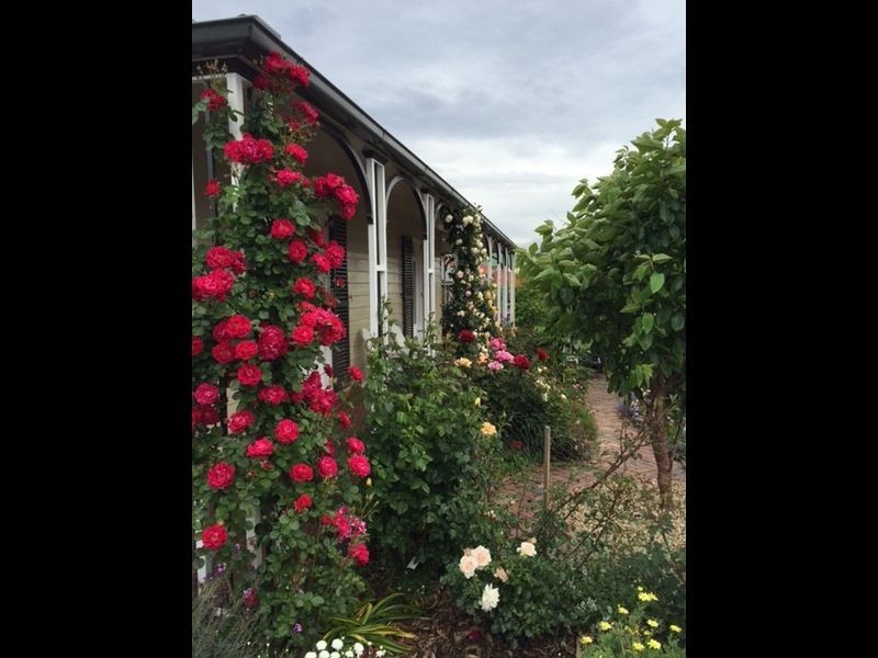 30 ROOPE STREET, New Town TAS 7008