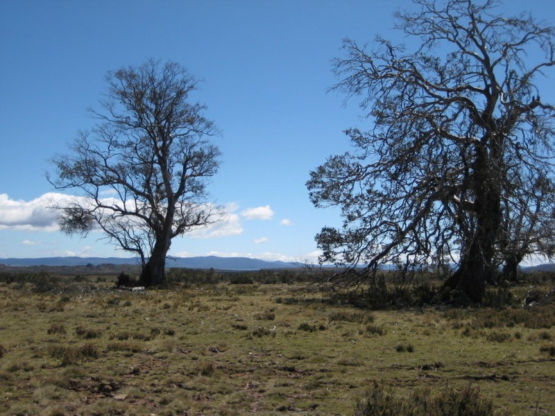 123H/ Tods Corner Road, Miena TAS 7030