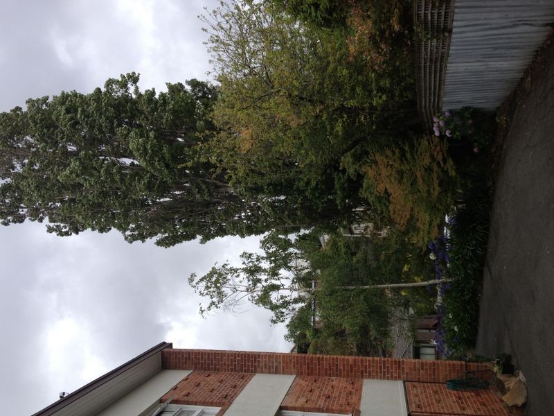 4/18 Manning Ave, Sandy Bay TAS 7005