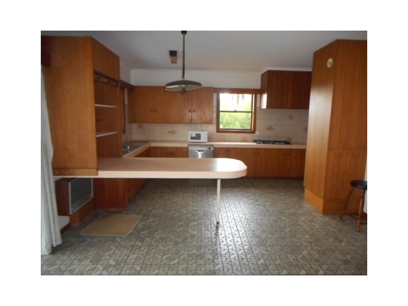 44 Beddome Street, Sandy Bay TAS 7005