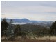 299 Millvale Road, Dromedary TAS 7030
