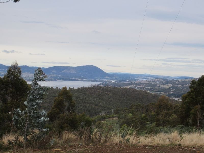 299 Millvale Road, Dromedary TAS 7030