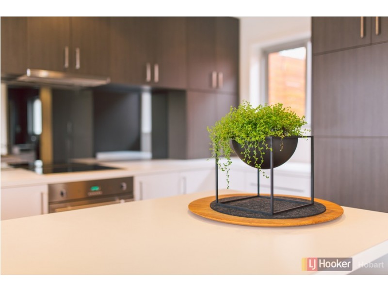 3/3 Watkins Avenue, West Hobart TAS 7000