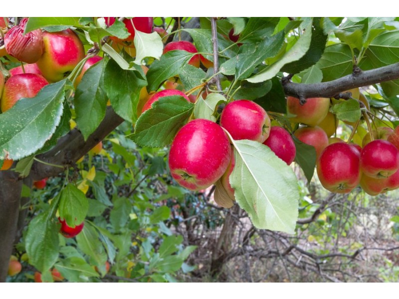 241 New Town Road, New Town TAS 7008