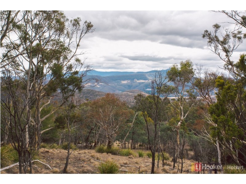 Lot 6/ Collins Cap Road, Molesworth TAS 7140
