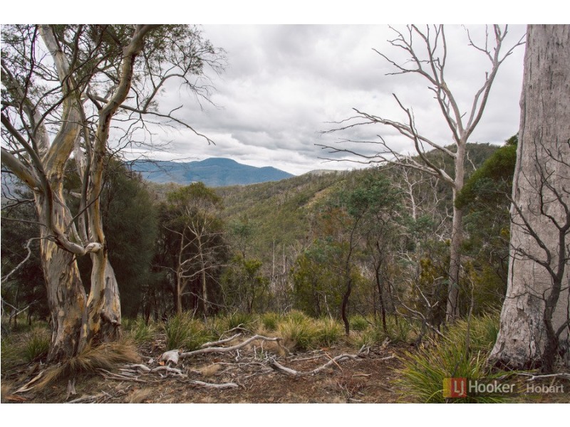 Lot 6/ Collins Cap Road, Molesworth TAS 7140
