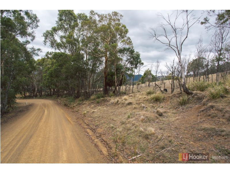Lot 6/ Collins Cap Road, Molesworth TAS 7140
