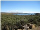 Highland Lakes Road, Miena TAS 7030