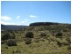 Highland Lakes Road, Miena TAS 7030