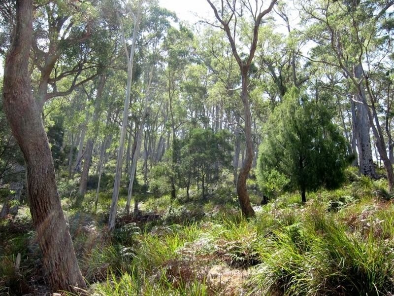 Green Tier Creek Swanston Road, Swanston TAS 7120