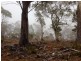 Green Tier Creek Swanston Road, Swanston TAS 7120