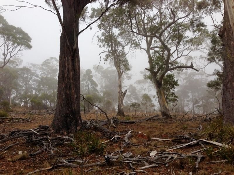 Green Tier Creek Swanston Road, Swanston TAS 7120