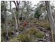 Green Tier Creek Swanston Road, Swanston TAS 7120