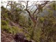 Green Tier Creek Swanston Road, Swanston TAS 7120