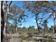 Green Tier Creek Swanston Road, Swanston TAS 7120
