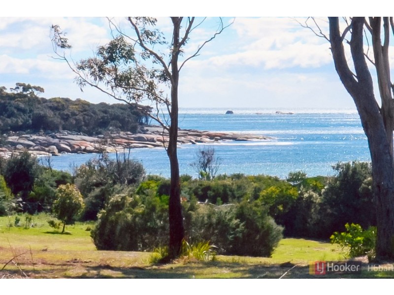 119 Harveys Farm Road, Bicheno TAS 7215