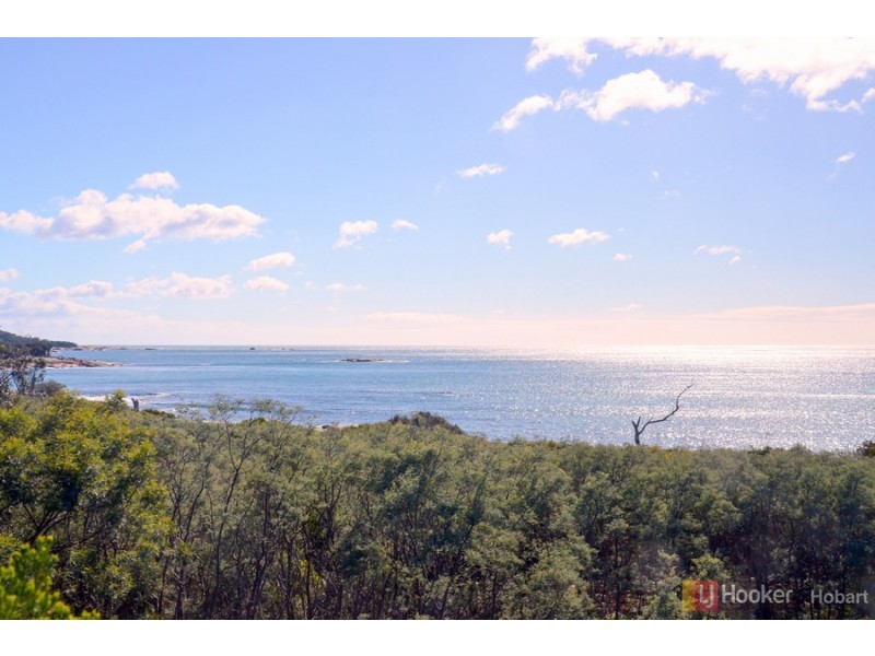 119 Harveys Farm Road, Bicheno TAS 7215