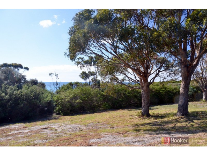 119 Harveys Farm Road, Bicheno TAS 7215