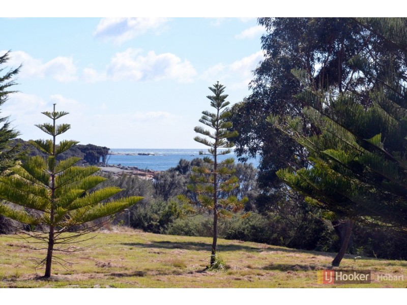 119 Harveys Farm Road, Bicheno TAS 7215