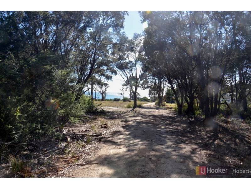 119 Harveys Farm Road, Bicheno TAS 7215