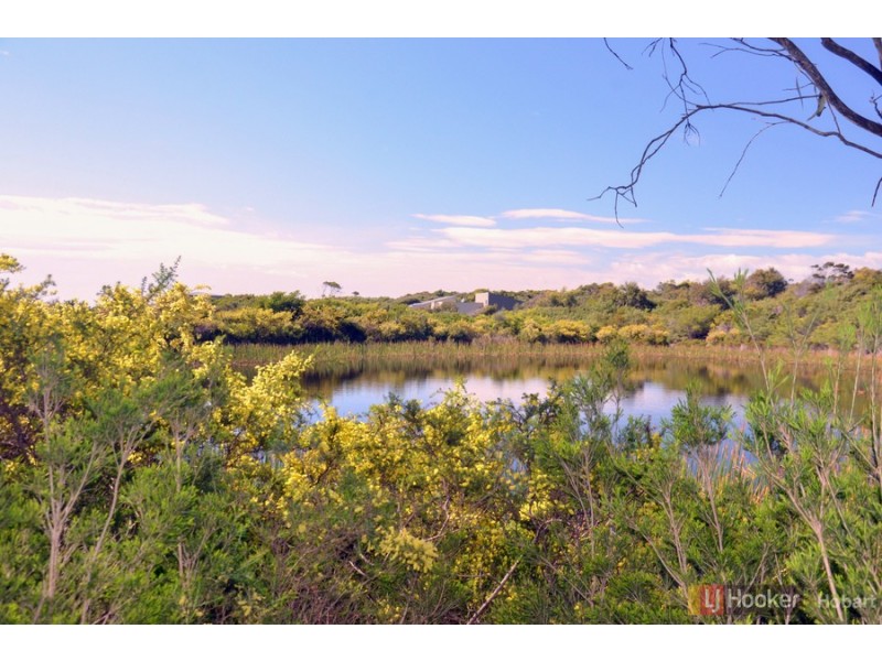 119 Harveys Farm Road, Bicheno TAS 7215