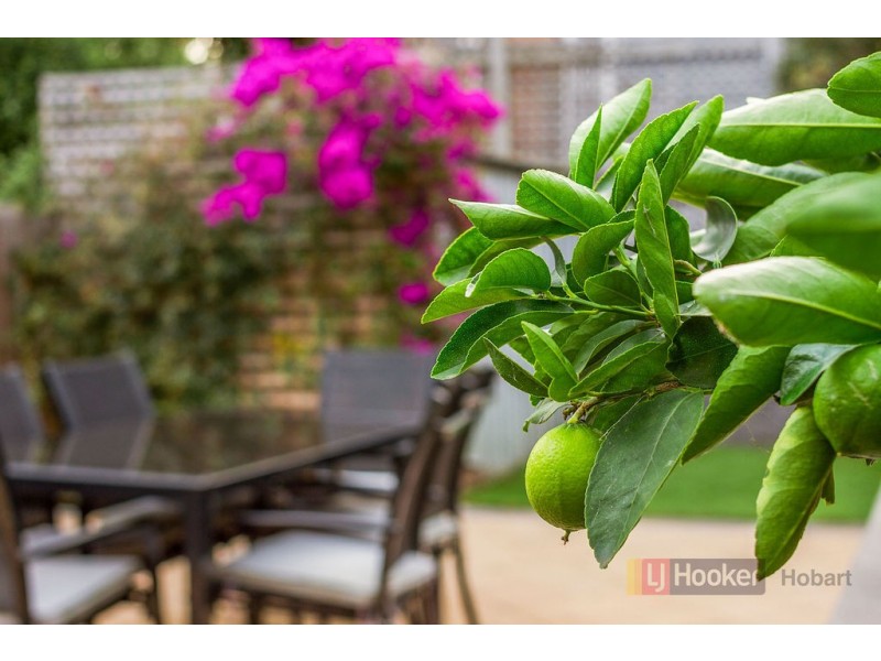 13 Scott Street, Glebe TAS 7000