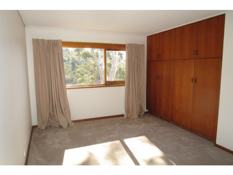 5 EURELLA Avenue, Sandy Bay TAS 7005