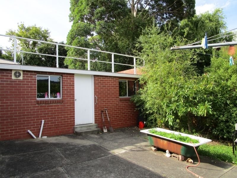 8 CRISP Street, Sandy Bay TAS 7005